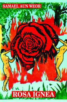 Rosa Ígnea